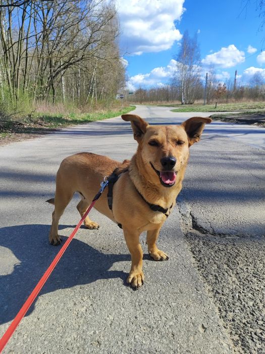 Nadia szuka kochającej rodziny