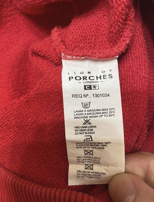 Sweat com capuz Lion of Porches