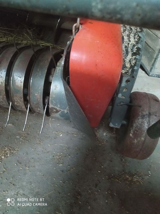 Sprzedam prase ursus z-543