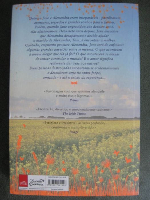 Um Amor Perdido de Anna McPartlin