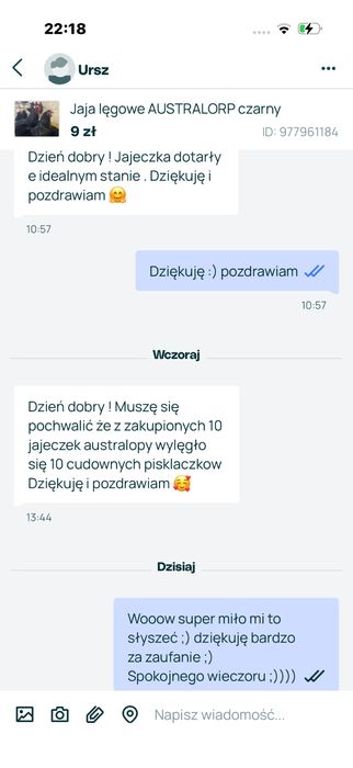 Jaja lęgowe AUSTRALORP niebieski
