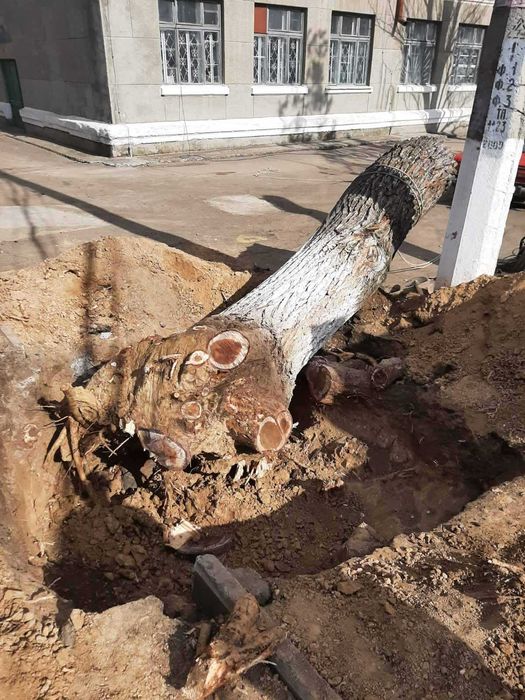 Земляные работы,  копка траншей выкопать куб земли копка траншеи