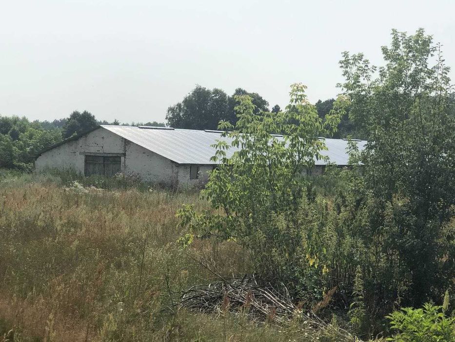 Продається Ферма під вирощування прісноводних молюсків. - View 4