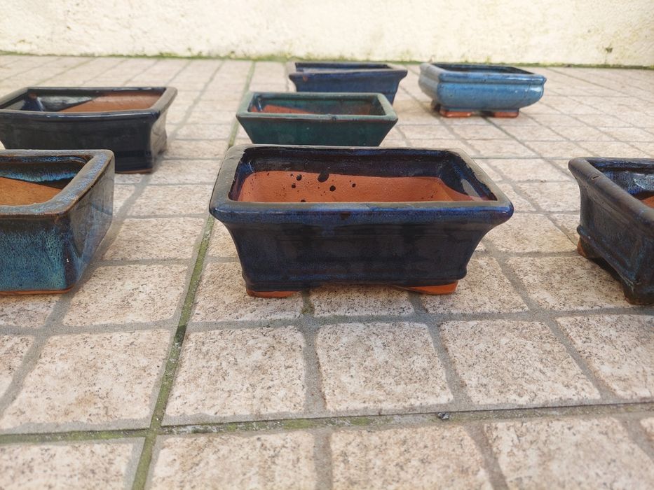 Vasos para bonsai