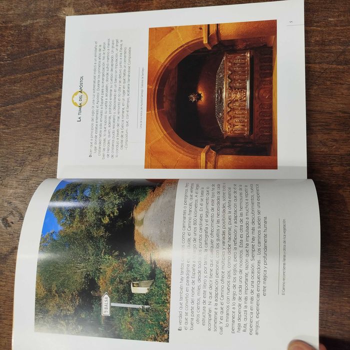 El Camino de Santiago