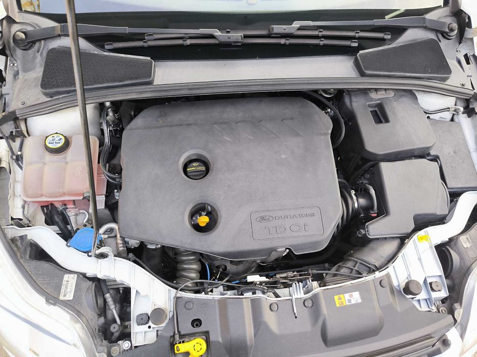 Ford Focus 1.6 TDCi Trend 115 cv 2013
