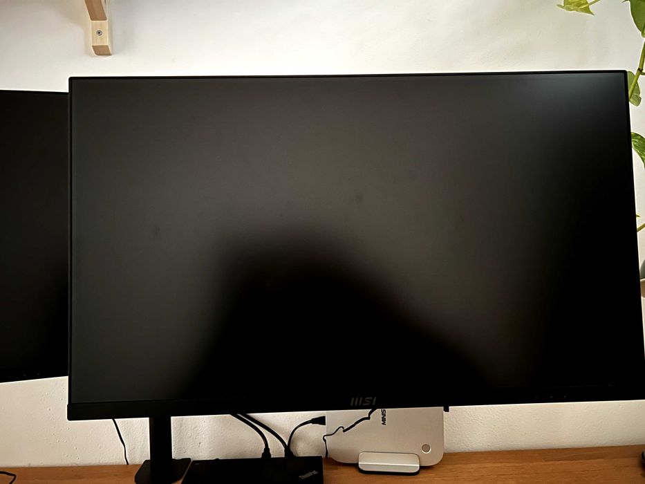 Monitor MSI Pro MP273A 27" (2 por 170€)