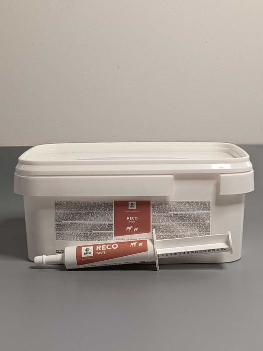 AHV RECO PASTE MINI  - Preparat Przeciwbiegunkowy dla Cieląt I Kóz.