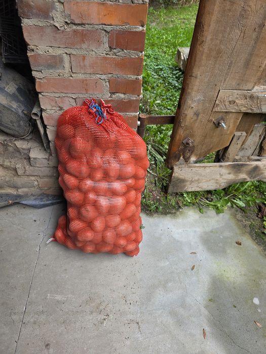 Sprzedam ziemniaki żółte Belarosa