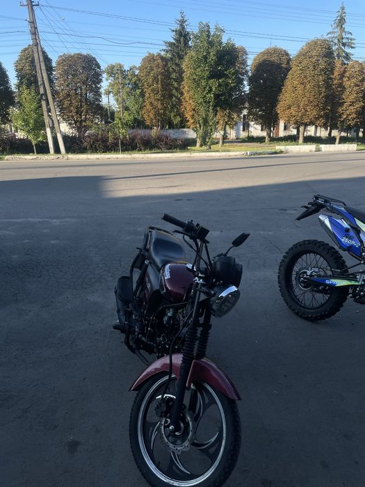 Продам Мустанг фит 1