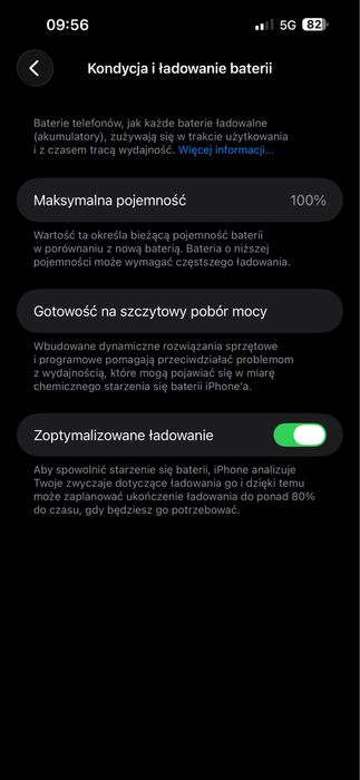 Zamienie 14 pro max 100%
