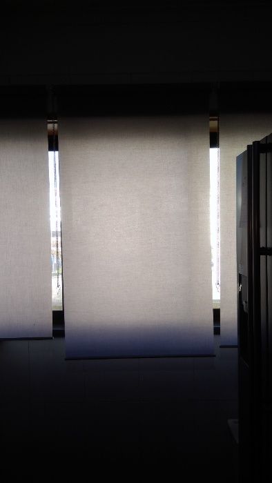 Opaque Roller Blind64751680483970126