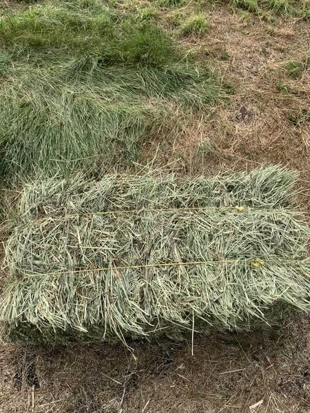 Сено в тюках с доставкой на дом. Сіно в тюках лугове, солома в тюках.