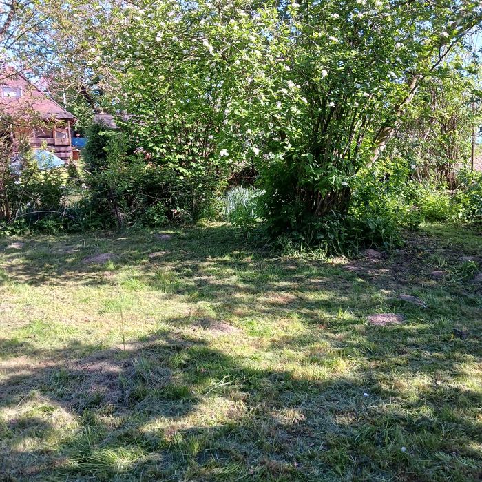 Sprzedam działkę ROD Dąbrowica