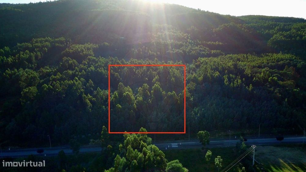 Terreno  para venda — Góis, Coimbra