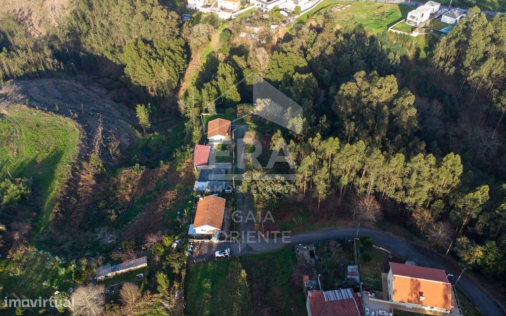 Terreno com 100 metros de frente