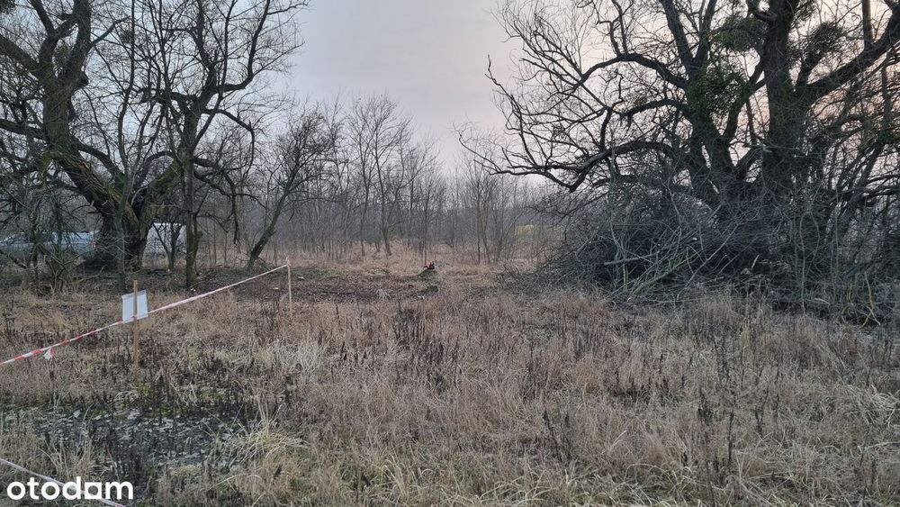 Działka Strzeszyn