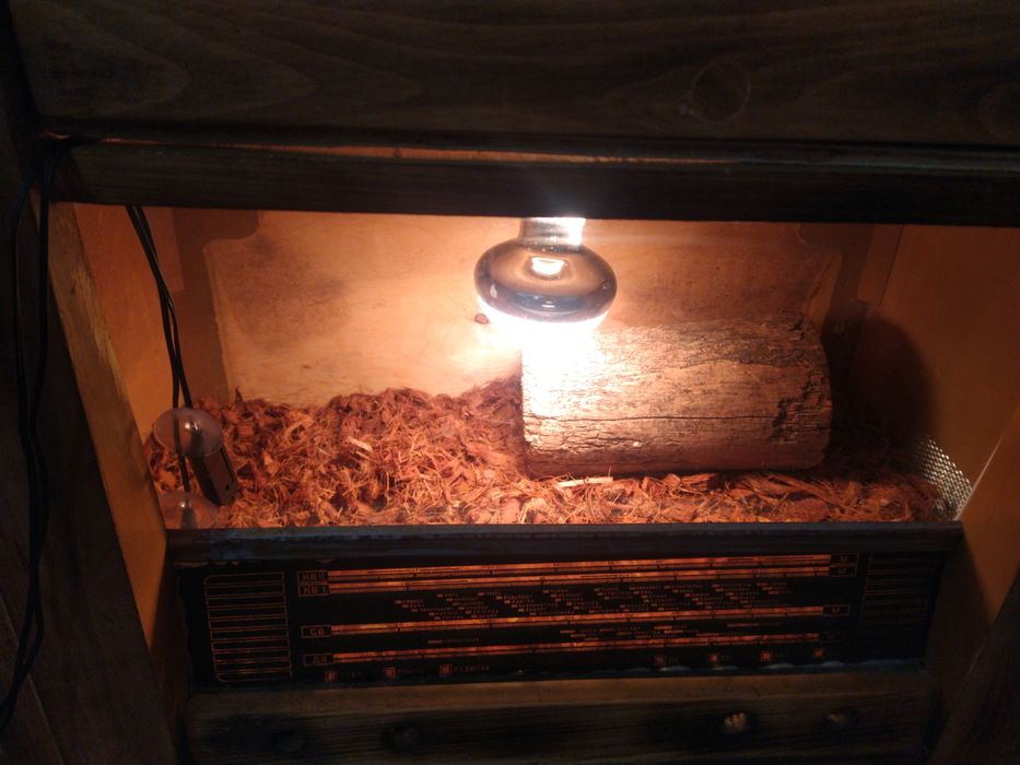 тераріум авторський