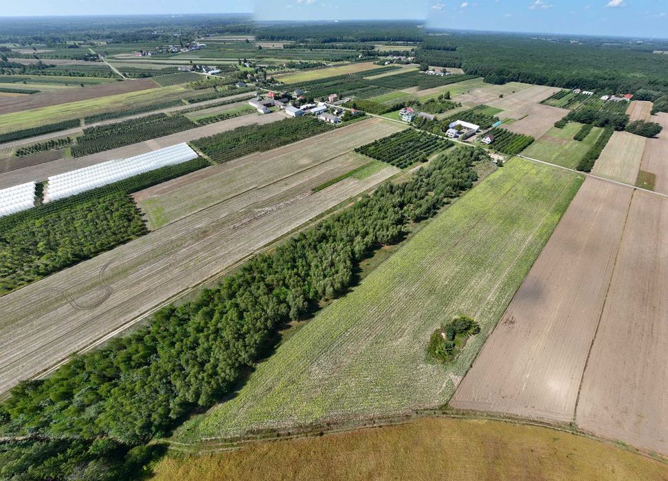 Działka z WZ Zapiecki gmina Pomiechówek powiat Nowodworski 1505 mkw - Widok 3