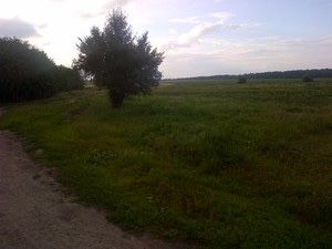 Продам земельну ділянку 24 сотки