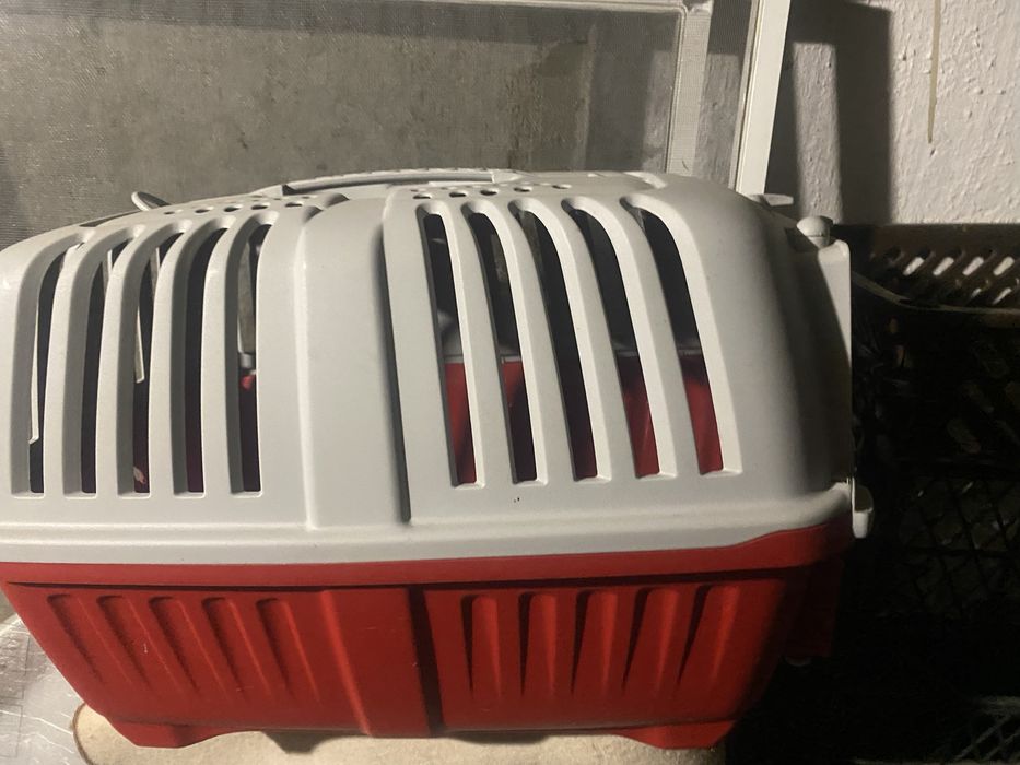 Переноска для вашей кошки