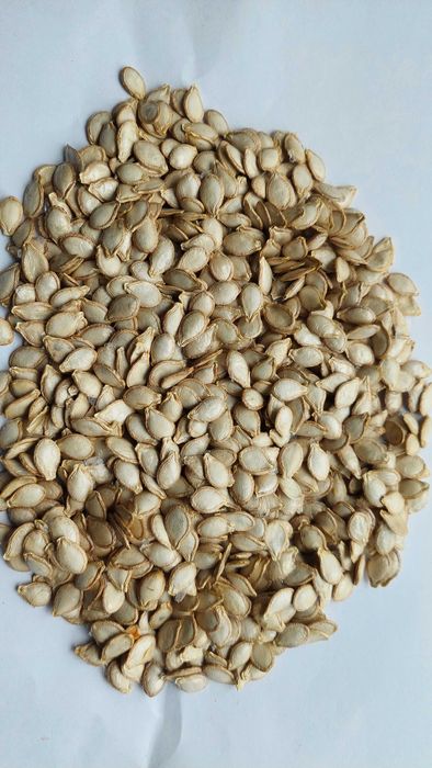 Гарбуз довгий грушовидний насіння