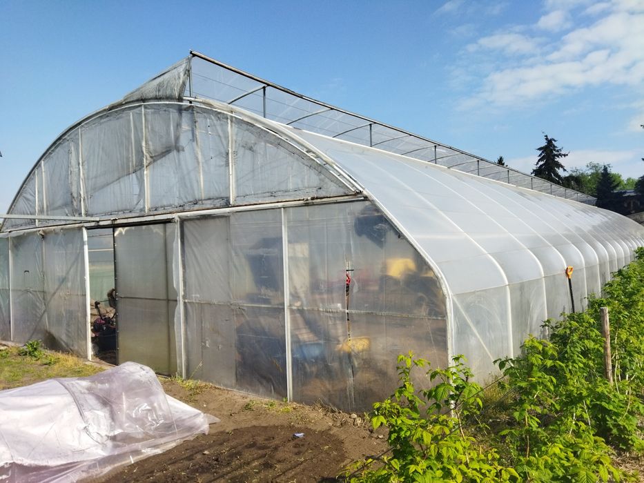 Tunel foliowy, konstrukcja tunelu ogrodniczego