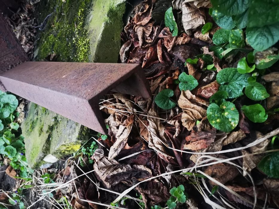 Ceownik gorącowalcowany 100