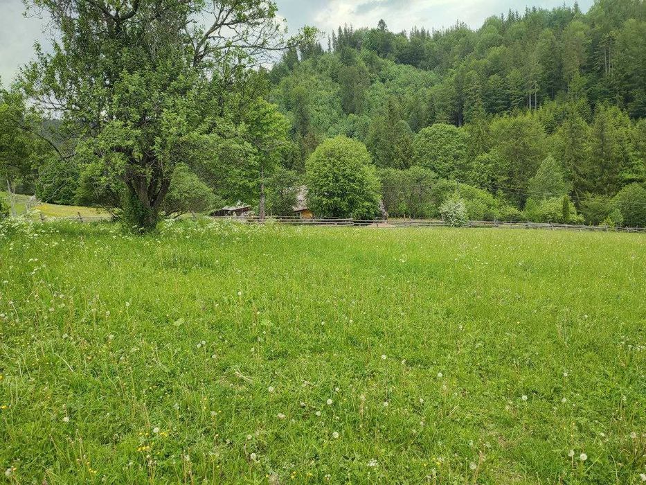 Продається земельна ділянка в серці Карпат ( Кривопільський перевал )