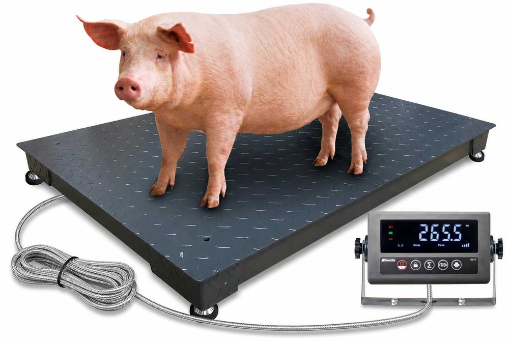 Waga platformowa do zwierząt gospodarczych 80cmx150cm inwentarzowa do 3T 0,8x1,5m platformowa do 3T 80cmx150cm solidna WYSYŁKA, ODBIÓR