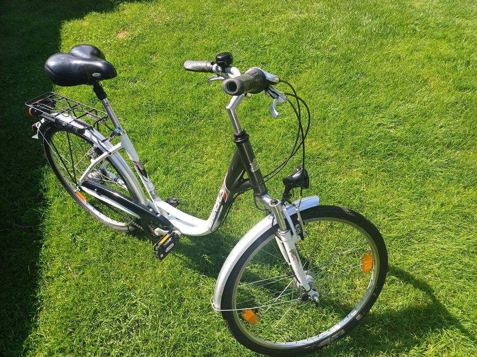 Rower damka Pegasus