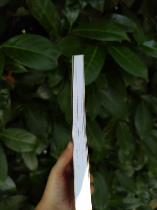 Equilíbrio vital: vitaminas e minerais (Prof. Isabel do Carmo)