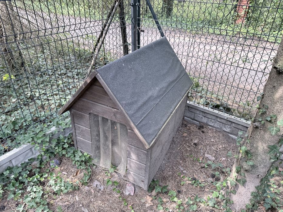 Kojec dla psa z budą