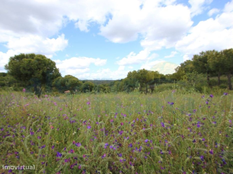 Terreno Rústico com mais de 3.9 hectares no Azinhal, Castro Marim!
