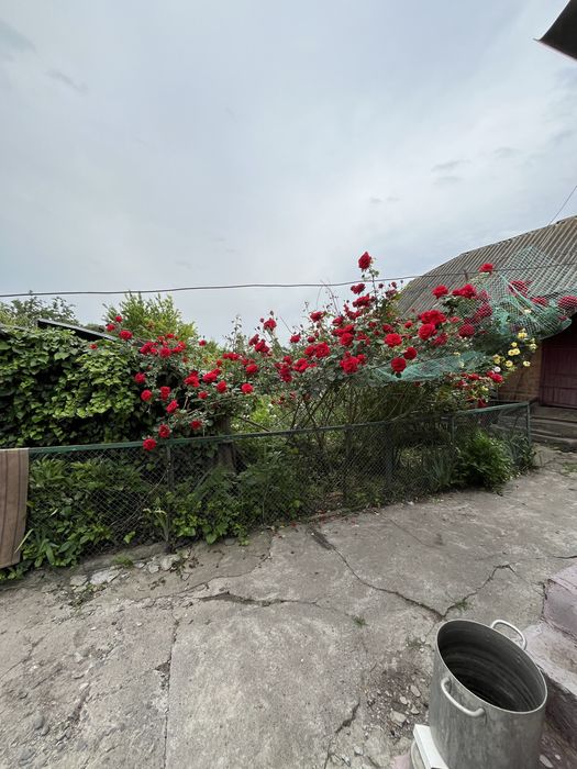 Продається будинок