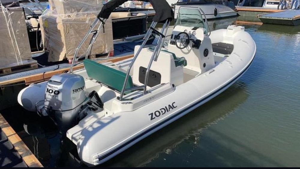 Rib (sprowadzę )z Holandii