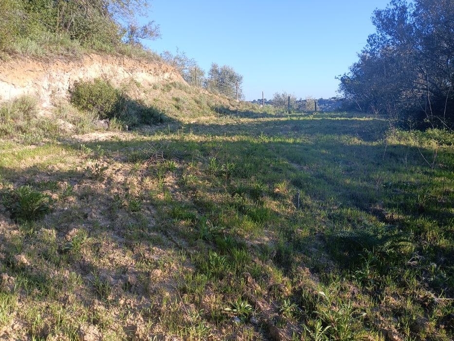 Quintinha , lote de terreno ,  monte , fazenda