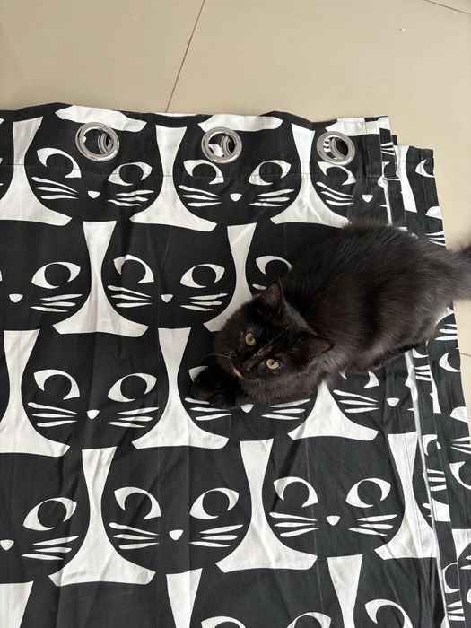 Zasłony IKEA koty