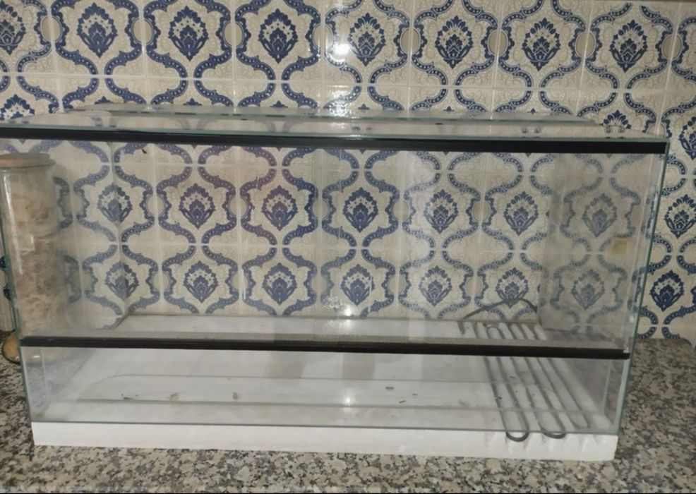 Terrario 80*40*35