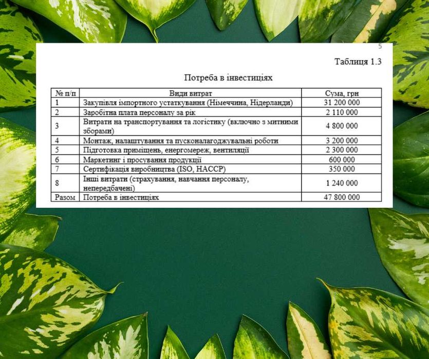 Бізнес-план під кредит 5-7-9%