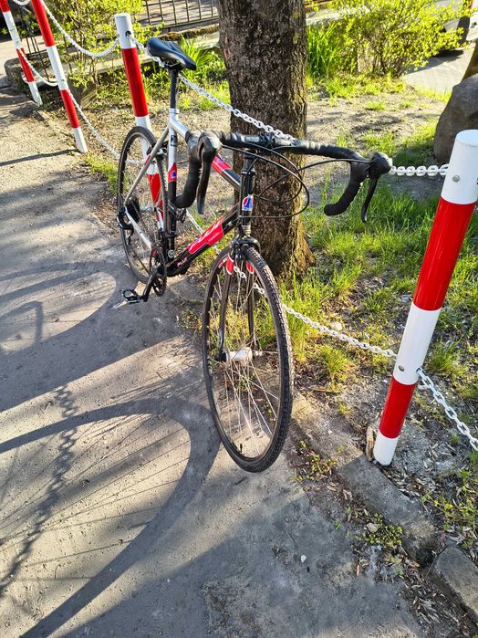 Rower szosowy , kolarka