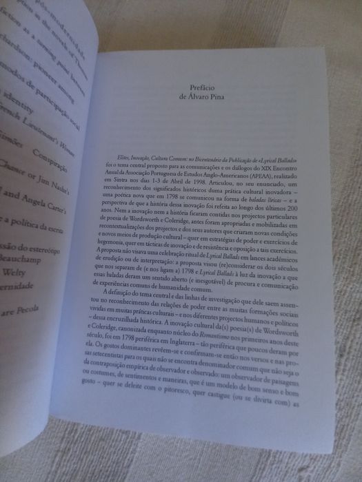 Do Esplendor na Relva ensaios sobre cultura de língua inglesa