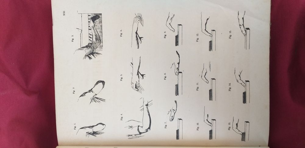 Livro de iniciação musical / piano