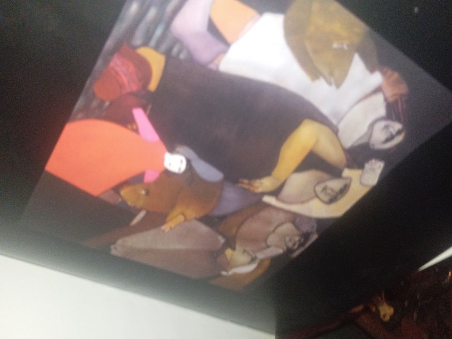 Livro pintura da pintora Armanda