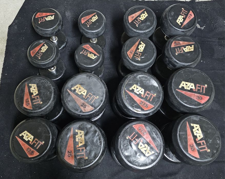Halteres Profissionais AZAFIT  usados  (295kg)