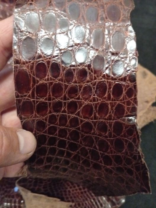 Куски кожи ,, Croco "ЭКЗОТИЧЕСКАЯ КОЖА