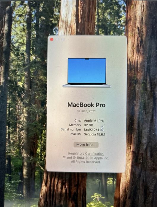 MacBook Pro 16 2021 M1 Pro 32GB RAM 512GB