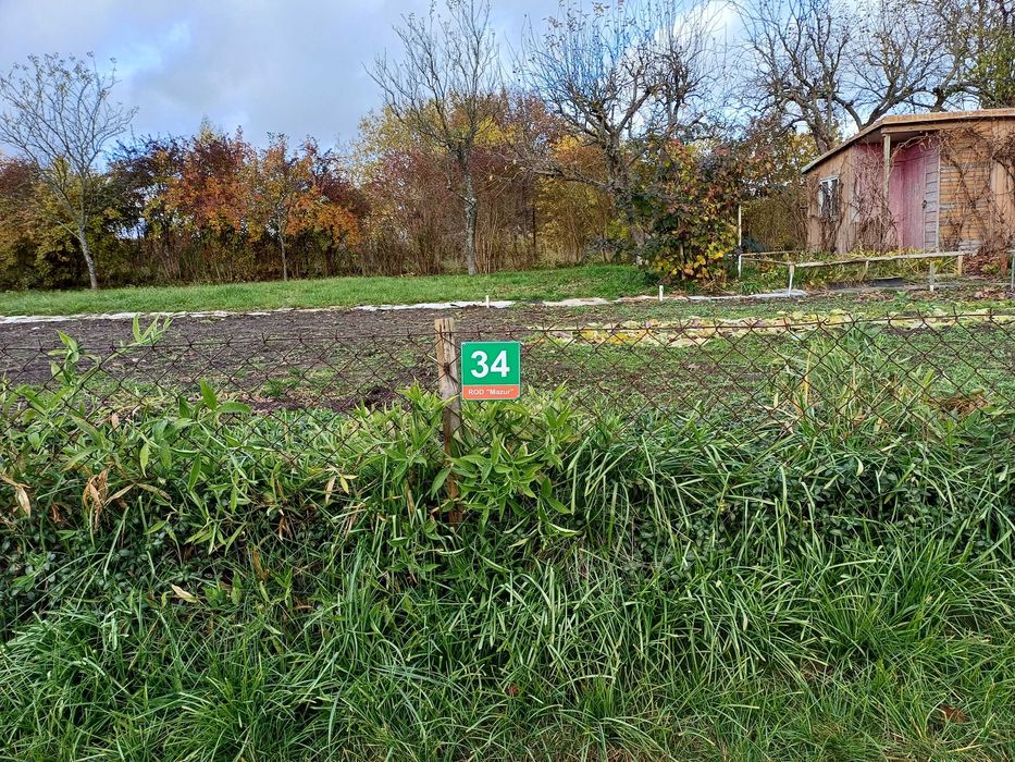 Duża działka ROD Mazur