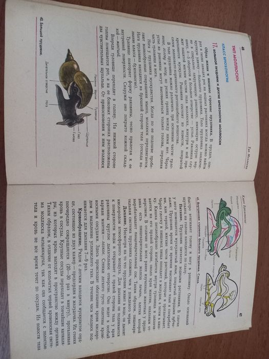 Зоология Наумова 6-7 класс учебник советский 70е-80е