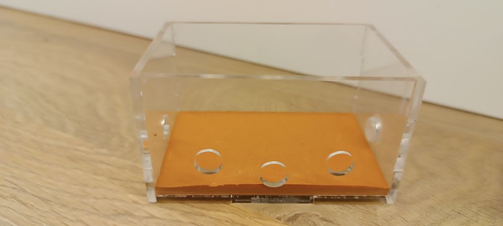 Formikarium dla mrówek